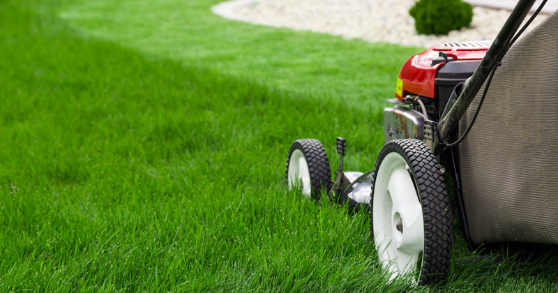 Lawn Mowing Prices In Eau Claire Wisconsin