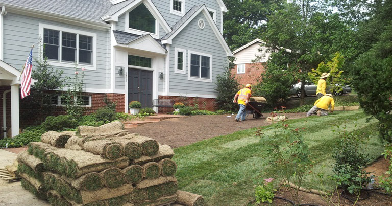 Sod Prices Sod Installation Cost Guide